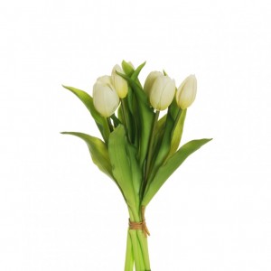 TULIPANO X7 H32 TU - cream *
