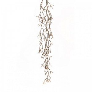 RHIPSALIS BACCIFERA X3 H152 CD - brown*