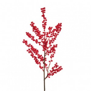 BACCA ILEX H95 - red *