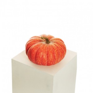 ZUCCA POLISTIROLO D25 H16-VERDURA orange