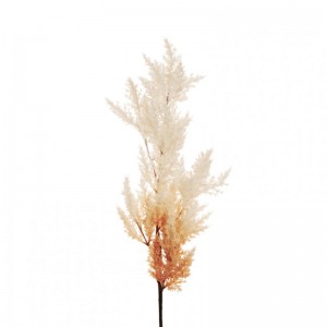 PAMPAS H94 AU - brown/cream *