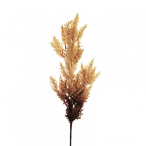 PAMPAS H94 AU - brown *