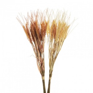 GRANO dry look X6 H57 - 2ASS. *