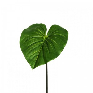 FOGLIA ALOCASIA 42X50 H76 FO - green *