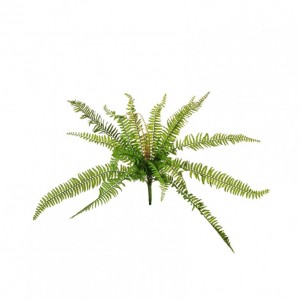 FELCE BOSTON H56 FE -  green *