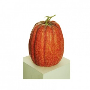 ZUCCA POLIST. D27 H35 VERDURA - orange