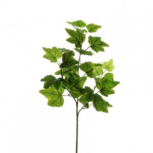 EDERA RAMO X3 H66 ED - green*