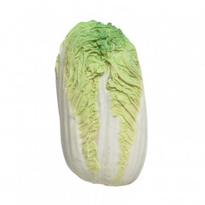 CHINESE CABBAGE 19X10X10CM