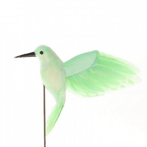 PICK COLIBRI 40X14XH20 - green