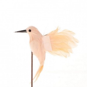 PICK COLIBRI 30X10XH12 - peach