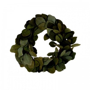 CORONA EUCALYPTUS D35cm - green