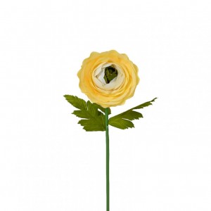 RANUNCOLO GIGANTE D35 H125 - yellow
