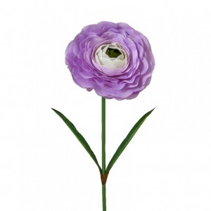 RANUNCOLO GIGANTE D50 H200 - lilac