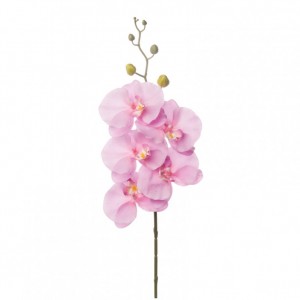 ORCHID PHALAENOPSIS 82cm-OR1,90 * lavend