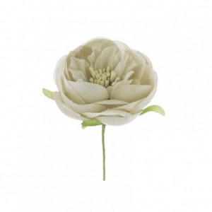 RANUNCOLO 5X13 cm pz12 - beige