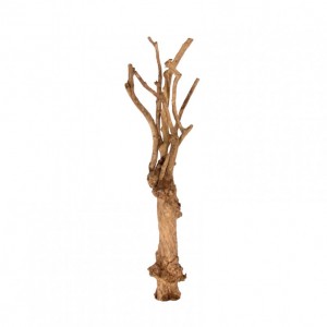 albero tronco RAMO OLD COFFEE H180cm TR