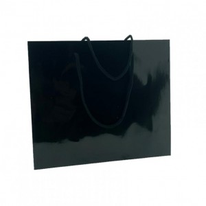 BAG 38X12X32 PLAST LU 10PZ