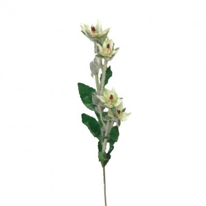 FIORI DI CAMPO H57cm FC -white green *