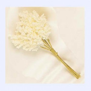 NEBBIOLINA RAMETTO PZ 144