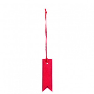 CARTELLINI DOUBLE 1,5x4,5cm 24pz - red