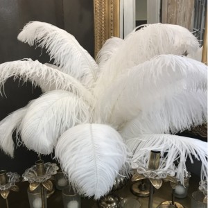 SMALL OSTRICH FEATHER - white