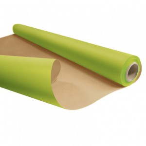 ECRU-LISSE COIL 0.79X25MT-green