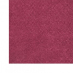 TNT50 HCM100X20MT-bordeaux ROLL