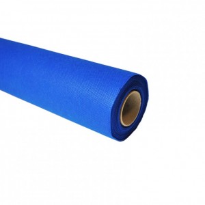 TNT LEGGERO 70CM X 50MT gr25/mq-bluette