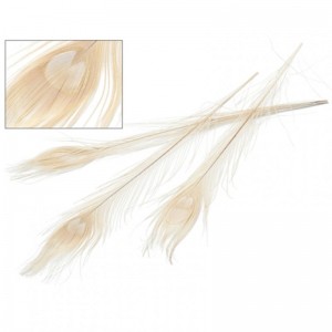 PEACOCK FEATHERS 40-50cm 12pcs -bleached