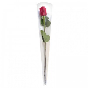 SPEZZONE CONE 14XH80cm - PZ50 neutral