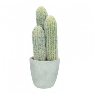 CACTUS MIX CM 9,5X9,5X26