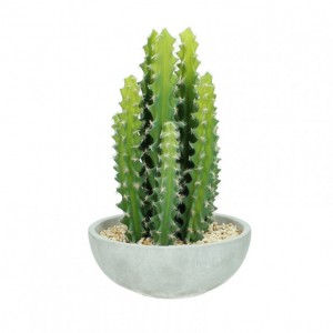 CACTUS MIX CM 16,5X16,5X27