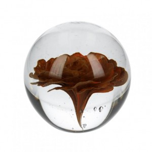 SFERA VETRO D10CM fiore marrone-sc50%