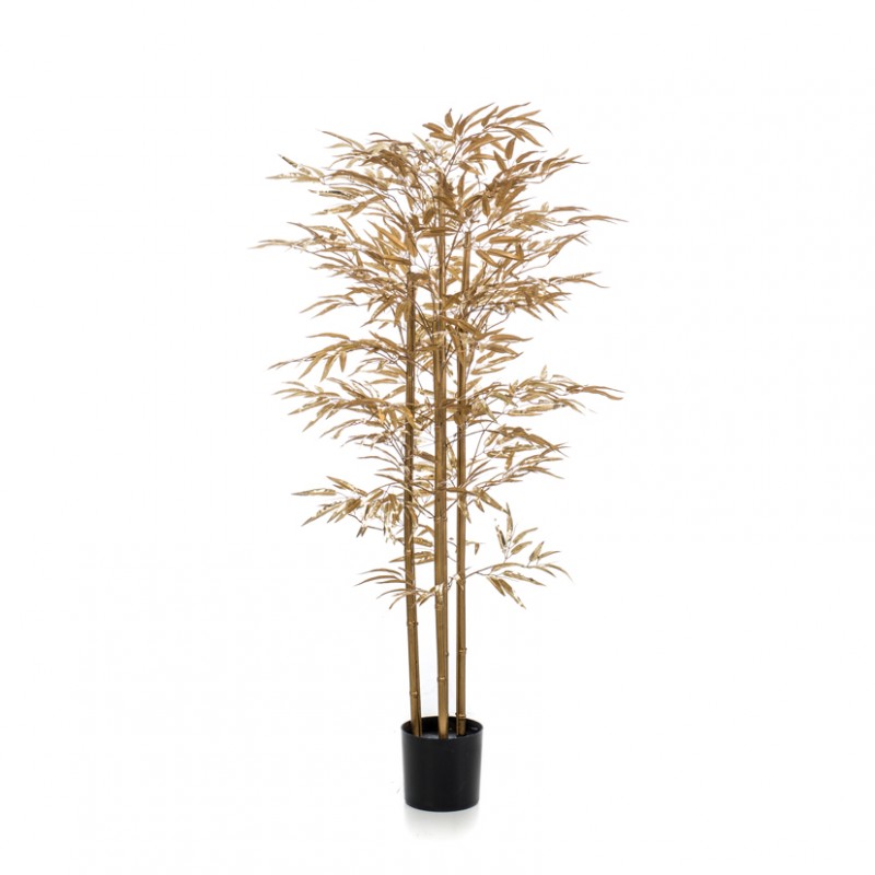 Pianta bamboo cm 165 - gold