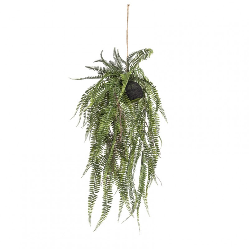 Pianta felce su sfera da app. h70 cm pn*