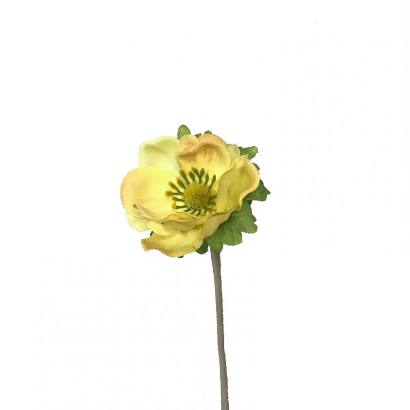 Anemone x1 h35 cm an -giallo *