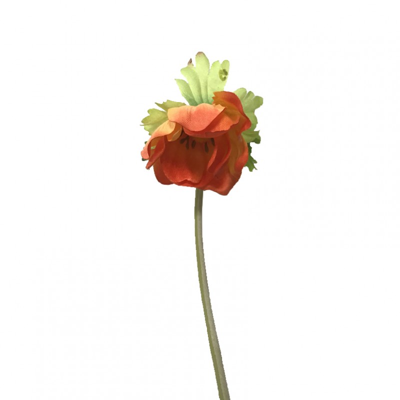 Anemone x1 h35 cm an -arancio *