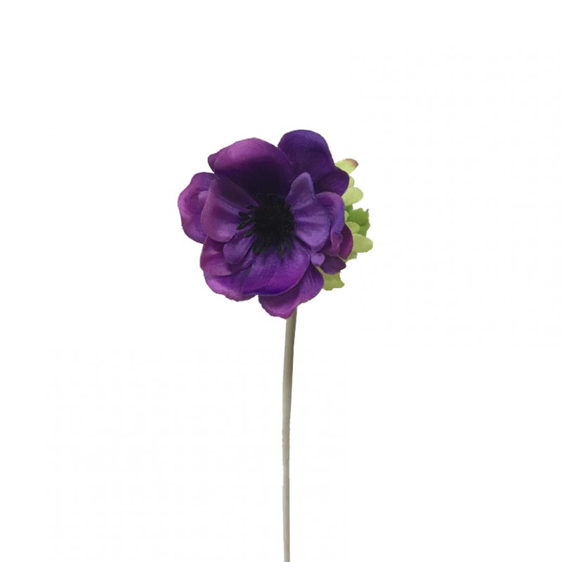 Anemone x1 h35 cm an - viola *