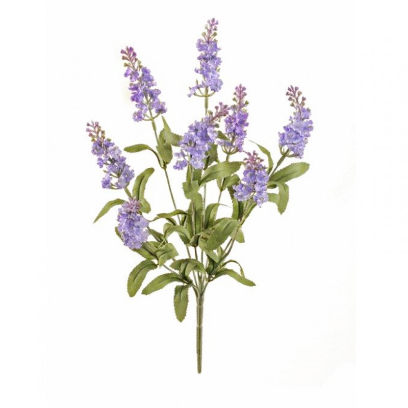 Lavanda bush h33 cm la - lavender*