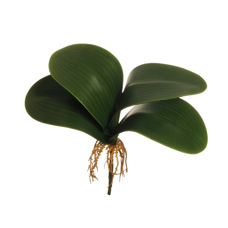 Foglie orchidea x4 29,5cm fo *