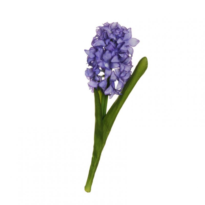 Giacinto h32 gi - lavender*