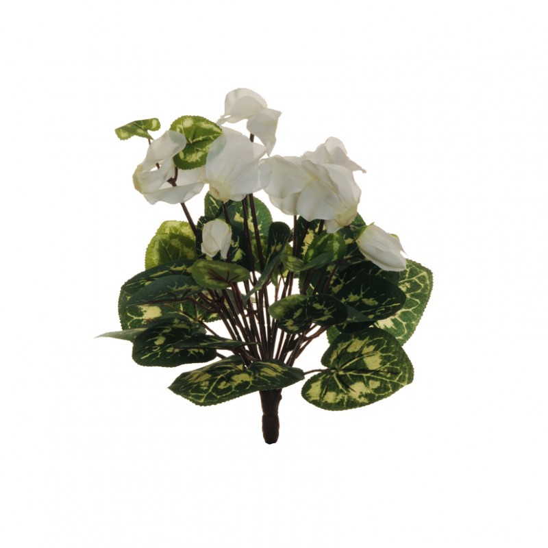 Ciclamino bush x10 h29cm ci -white *