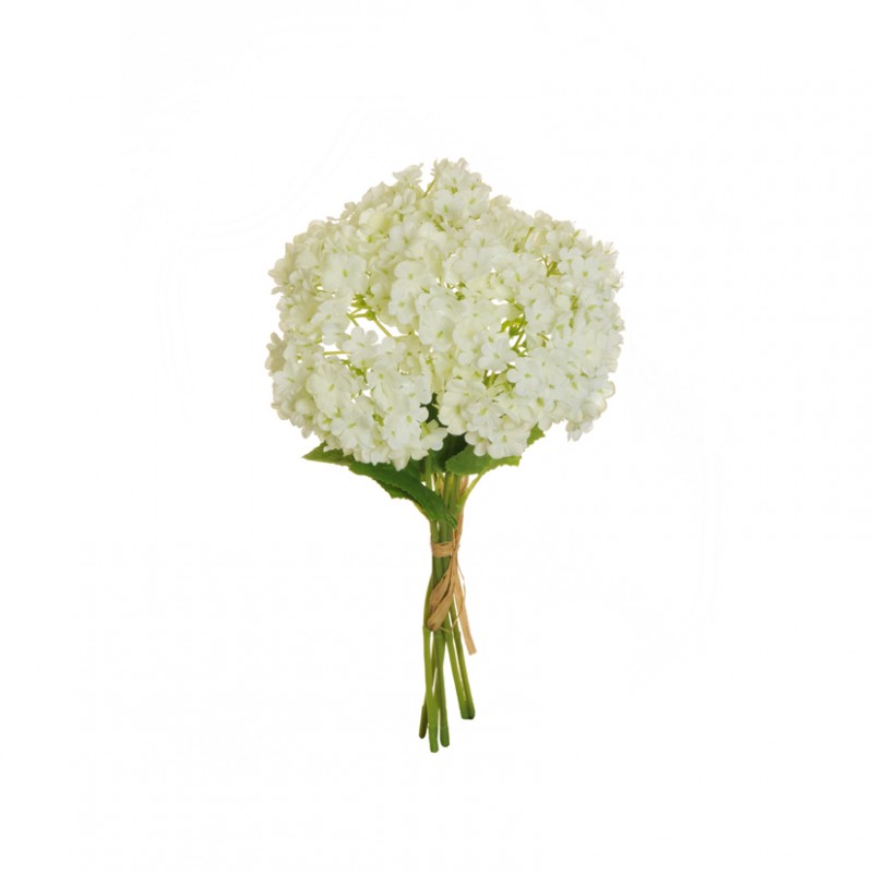 Viburno bush x6 h28 cm vi -cream  *