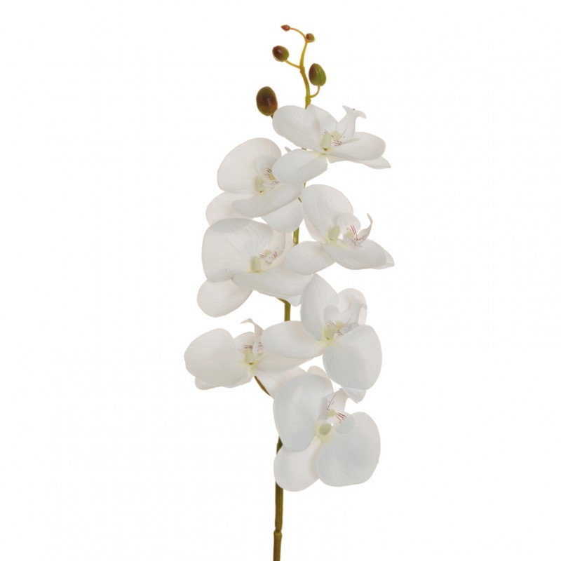 Orchidea phal. h89 cm or -white *