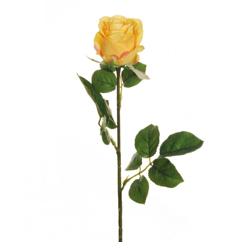 Rosa bud h77 cm ro - giallo *