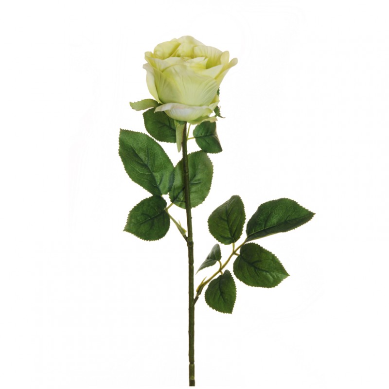 Rosa bud h77 cm ro-verde chiaro *