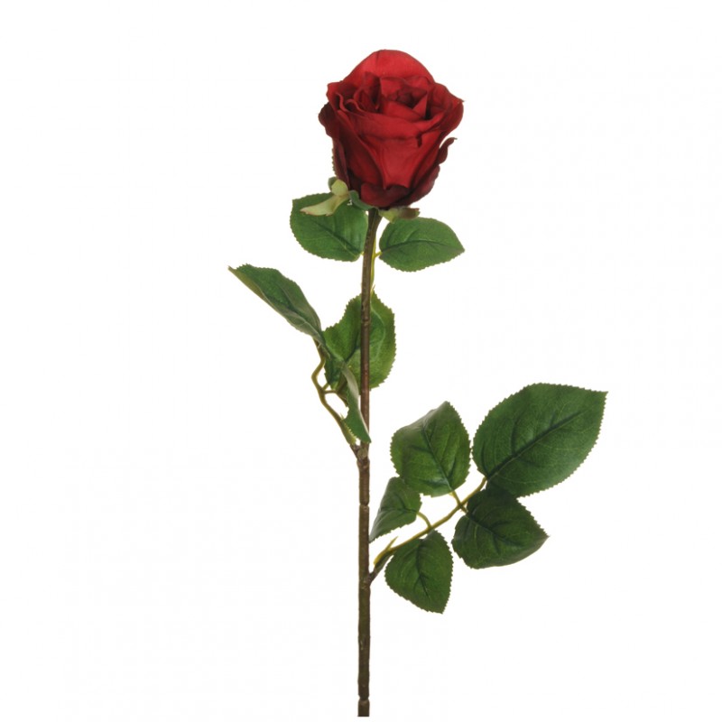 Rosa bud h77 cm ro- rosso *