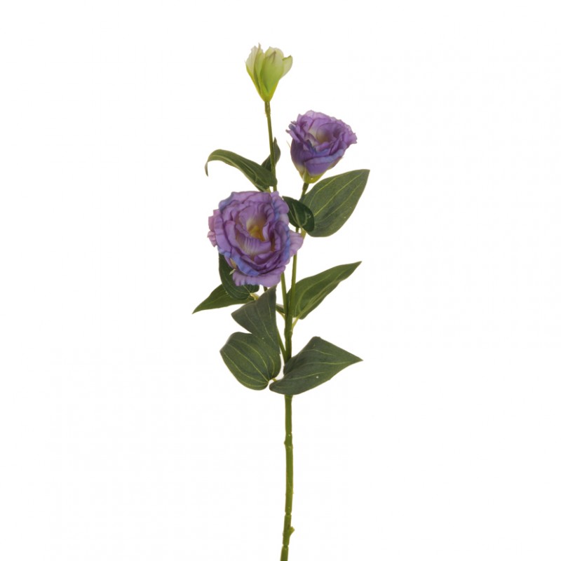 Lisianthus h71 cm li - lavender *