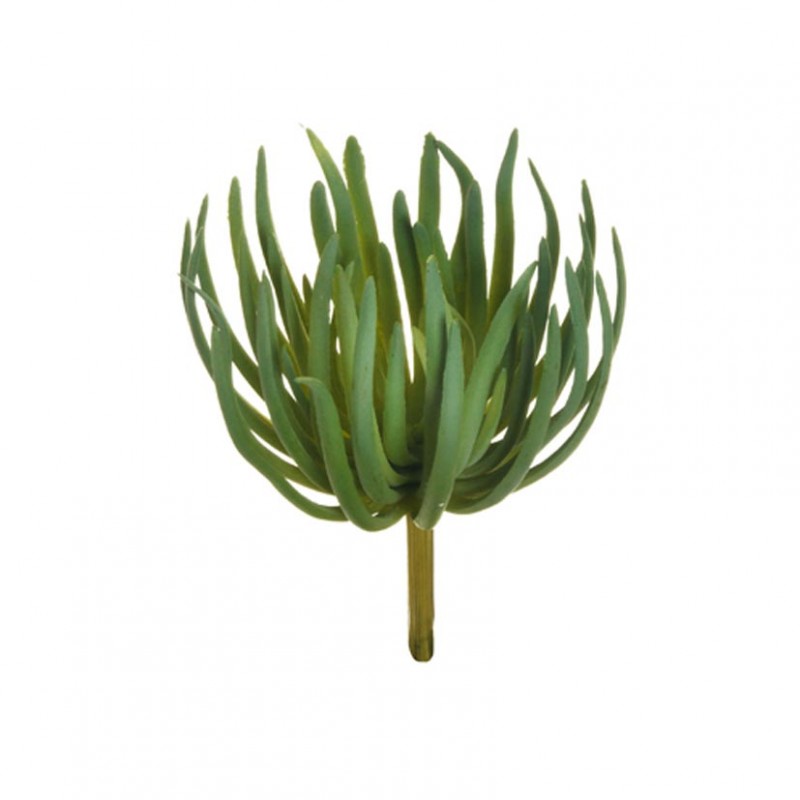 Anemone h19,5cm pg -green *