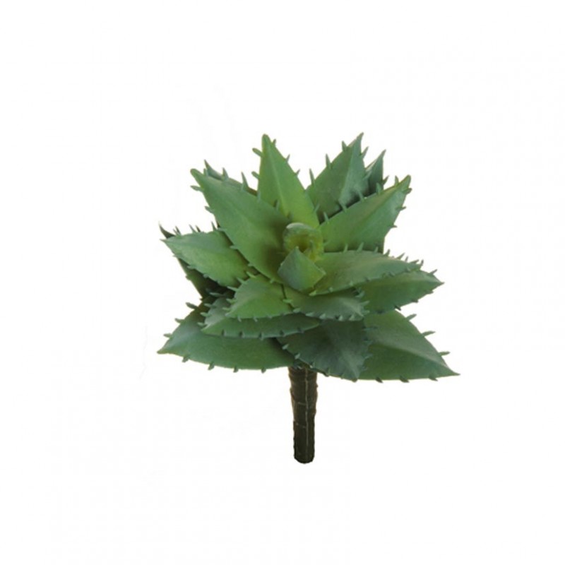 Succulent h13 cm pg -green *